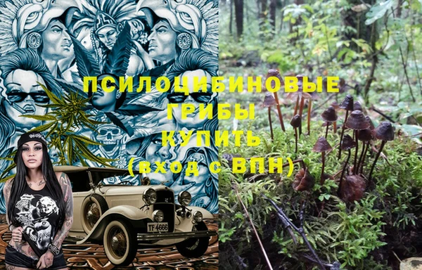 трава Алексеевка