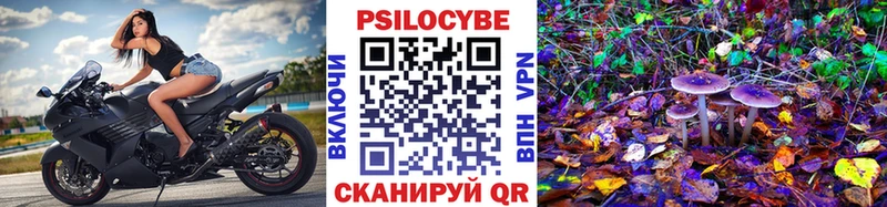 Псилоцибиновые грибы прущие грибы  MEGA ссылка  Шимановск 
